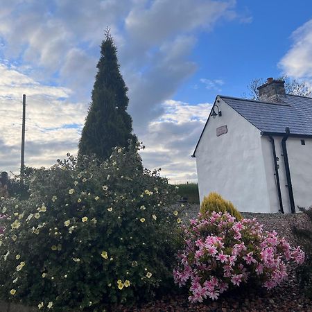 Dans Wee Cottage Slieve Croob Dromara Castlewellan Newcastle Zewnętrze zdjęcie