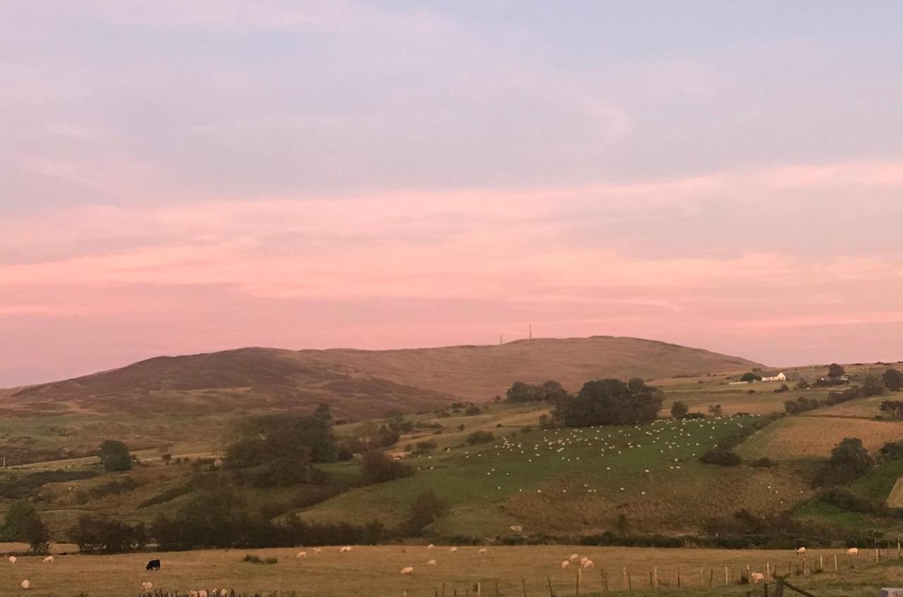Dans Wee Cottage Slieve Croob Dromara Castlewellan Newcastle Zewnętrze zdjęcie