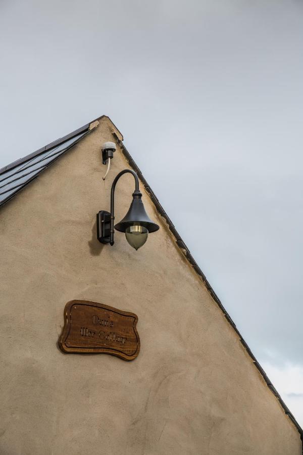 Dans Wee Cottage Slieve Croob Dromara Castlewellan Newcastle Zewnętrze zdjęcie