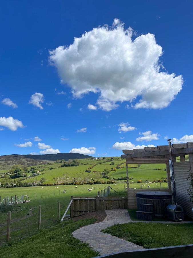 Dans Wee Cottage Slieve Croob Dromara Castlewellan Newcastle Zewnętrze zdjęcie
